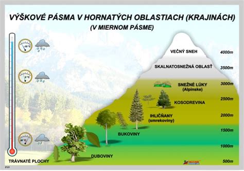 Grafické znázornenie výšky príspevku v závislosti od príjmu