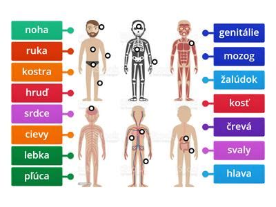 Ilustrácia rôznych zariadení starostlivosti o ľudské telo