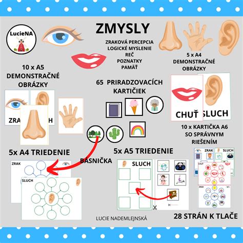 Infografika zobrazujúca rôzne zmysly zapojené do multisenzorického učenia