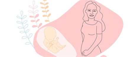 Ilustrácia tehotnej ženy a bábätka