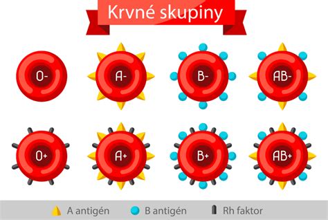 Rozdelenie ochorení do indikačných skupín A a B