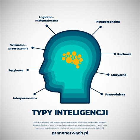 Infografika: Typy rehabilitačných služieb