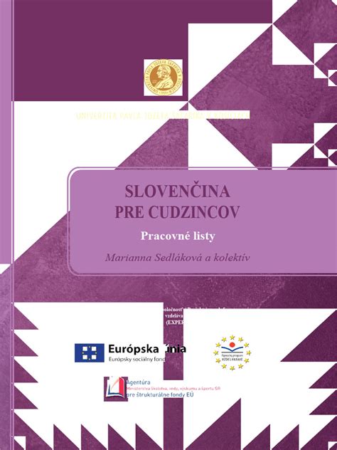 Ikonografia elektronických služieb pre cudzincov