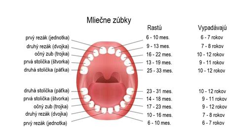 Dieťa so zmiešaným chrupom (mliečne a trvalé zuby)