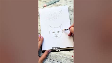 Detailná infografika tváre perzskej mačky s vyznačenými charakteristickými rysmi ako nos, oči a uši