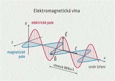 Schéma pôsobenia magnetického poľa na bunky