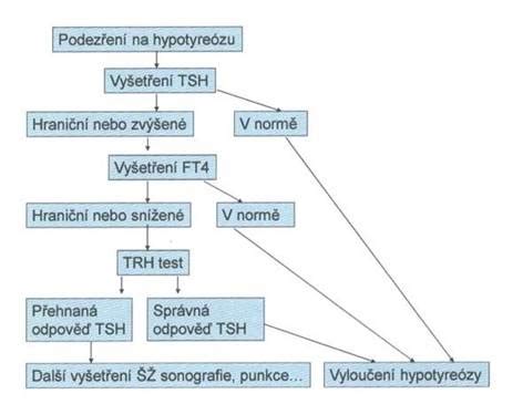 Schematický postup registrácie sociálneho podniku