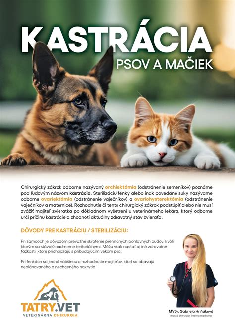 Dôvody pre kastráciu fenky