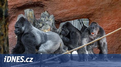 Rodina sledujúca zvieratá v zoo