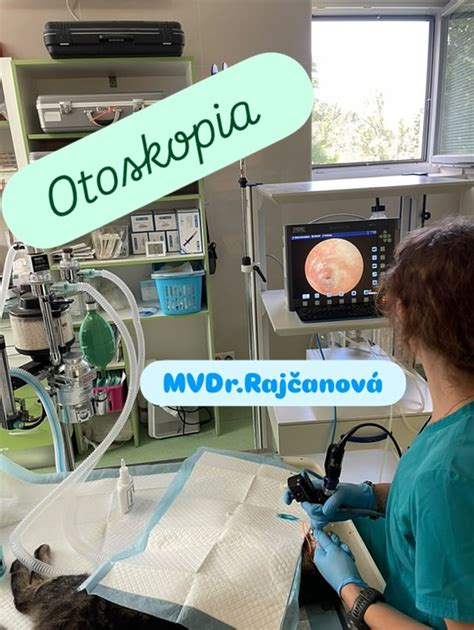 Artroskopický nástroj v kolennom kĺbe