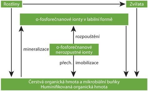 Schéma: Formy pomoci poskytované osobitným príjemcom