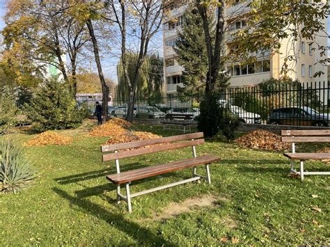 Záhrada pri dennom centre v Kostolnom Seku