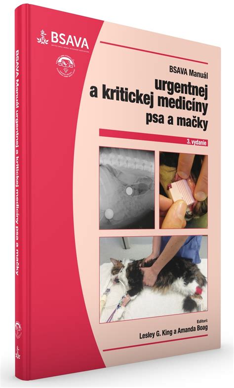 Priebeh kastrácie mačky schematicky