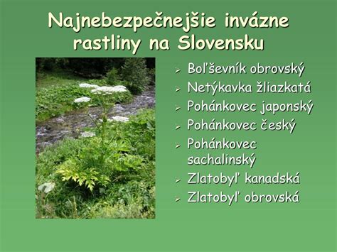 Invázne rastliny na Slovensku