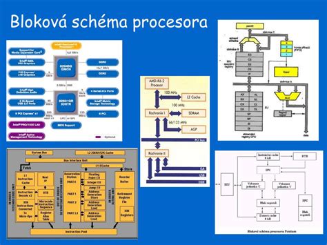Schéma centrálneho a periférneho motoneurónu