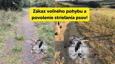 Zákon o poľovníctve Slovensko