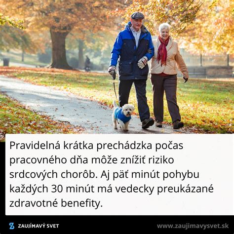 Ilustrácia seniorov na prechádzke v parku