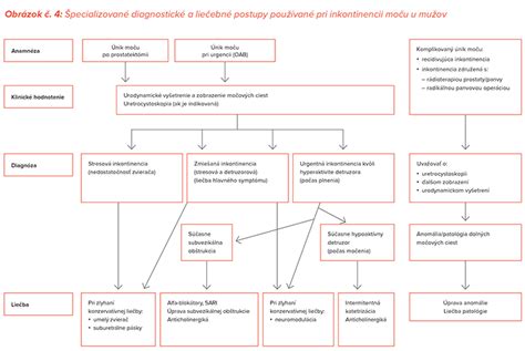 Schéma spolupráce klinických pracovísk a vzdelávacieho centra