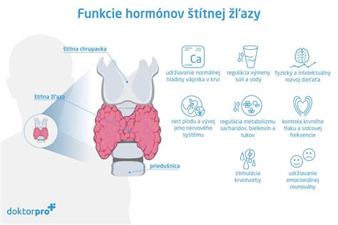 Infografika znázorňujúca možné symptómy ochorení štítnej žľazy ovplyvňujúce pracovnú schopnosť