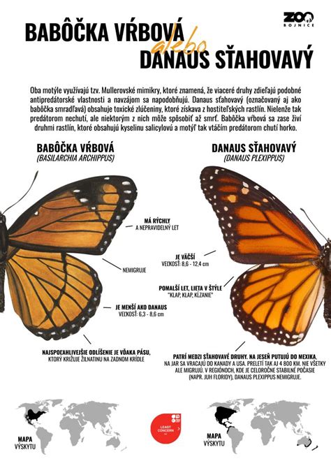 Infografika: Rozdiel medzi starobným a predčasným starobným dôchodkom