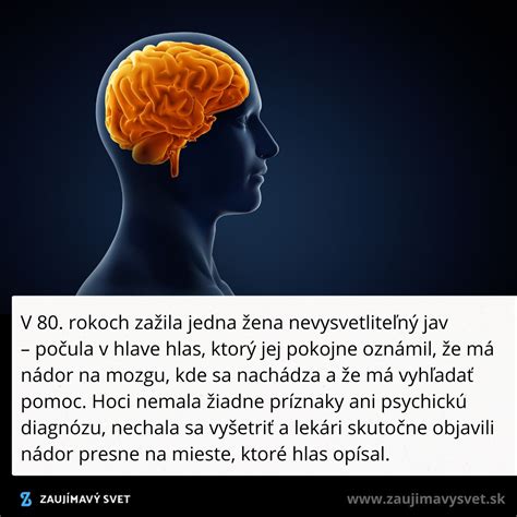 Ilustrácia mozgu s označenými kognitívnymi funkciami