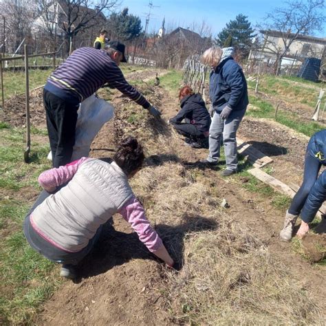 Školský pozemok a záhrada ako edukačné prostredie