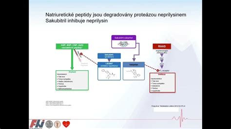 Schema znázorňujúca vplyv diabetu na cievy