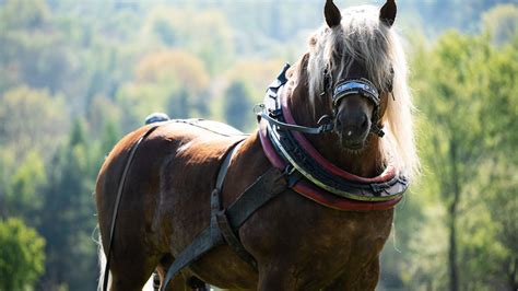 Ilustračné foto lekára pri práci