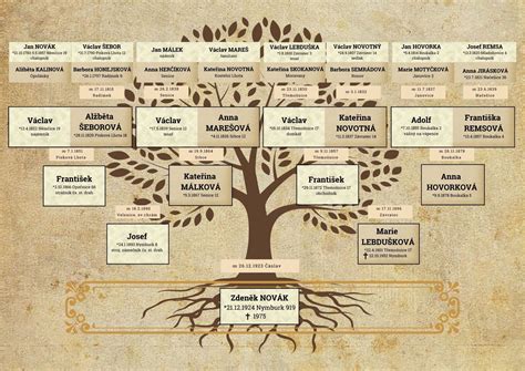 Rodinný strom s vyznačenými blízkymi príbuznými