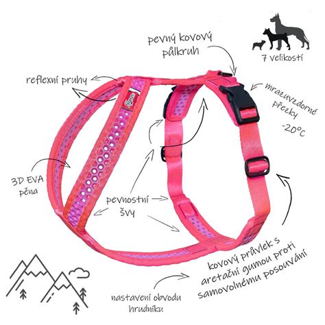 Ilustrácia psa používajúceho rehabilitačný postroj na schodoch