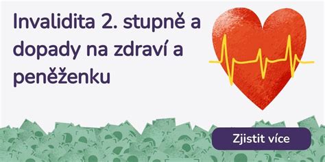 Invalidita v mladosti