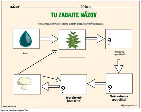 prehľadná schéma potravinového reťazca v ekosystéme