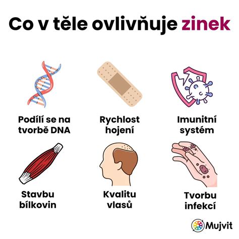 Úloha zinku v tele seniora