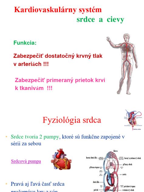 Grafika zobrazujúca zmeny v tele s vekom a vplyv pohybu na ne