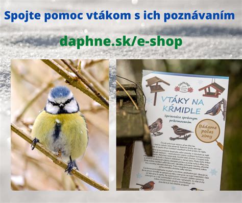 Deti vyrábajú kŕmidlá pre vtáky