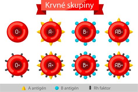 Schéma fungovania detskej skupiny