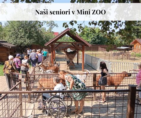 Ilustrácia denného stacionára s aktívnymi seniormi