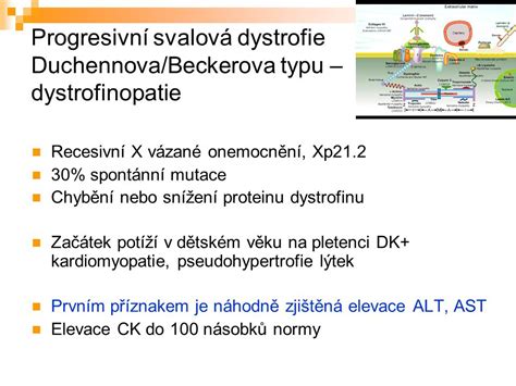 Diagram diagnostických metód svalovej dystrofie