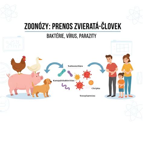 Grafika znázorňujúca vekové kategórie a invaliditu