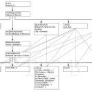 Schéma interdisciplinárneho charakteru psychopédie