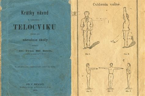 Schéma vzťahu medzi psychopédiou a inými vednými disciplínami