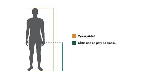 Infografika: Kľúčové faktory pri výbere bicykla pre telesne postihnutých