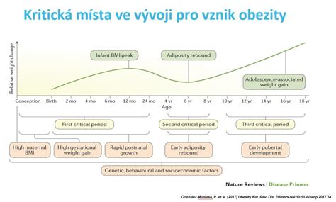 Graf nárastu obezity vo svete