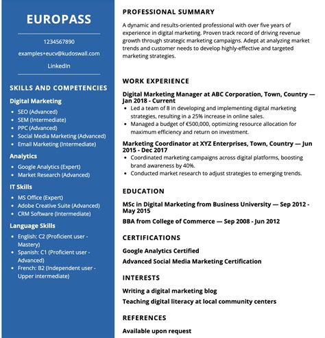 Vzorový Europass CV