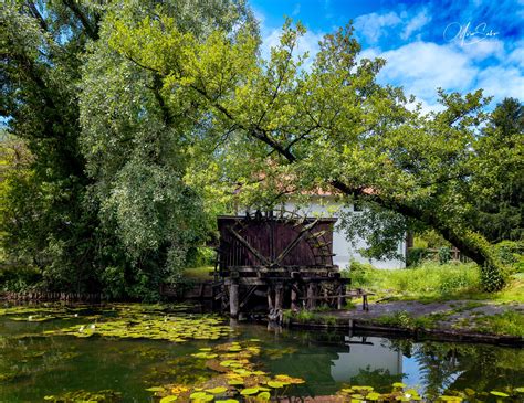 Historicke vodné mlyny na Žitnom ostrove