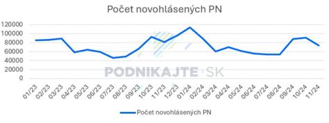 Priebeh kontroly počas PN