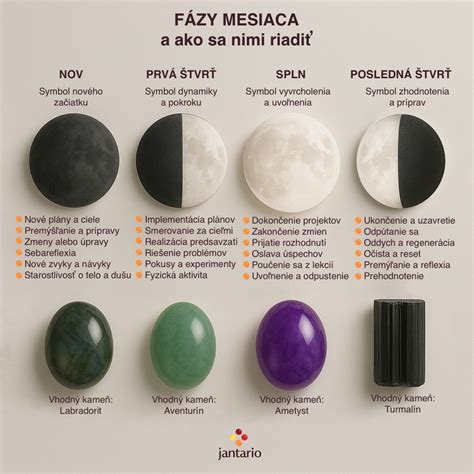 Infografika znázorňujúca fázy PN a možnosti podpory