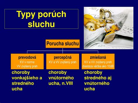Typy porúch sluchu