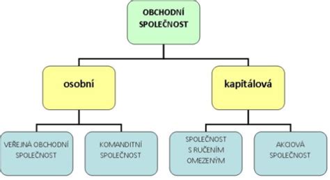 Schéma: Typy právnických osôb a ich štatutárne orgány