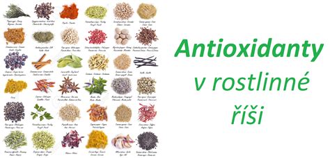 Antioxidanty v potrave
